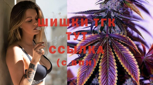 твердый Новозыбков