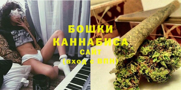 твердый Новозыбков