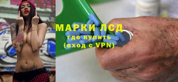 твердый Новозыбков