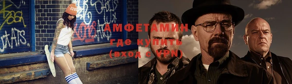 твердый Новозыбков