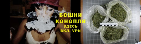 PSILOCYBIN Новодвинск