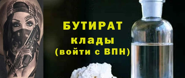 твердый Новозыбков