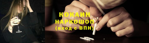 PSILOCYBIN Новодвинск