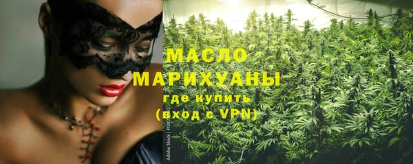 твердый Новозыбков