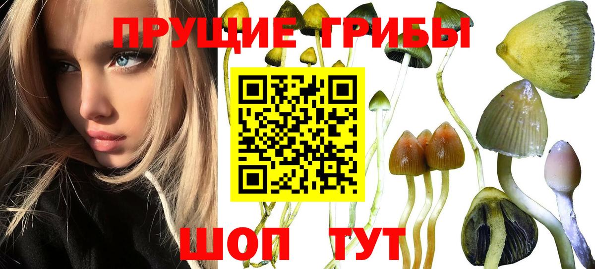 Псилоцибиновые грибы прущие грибы  Галлюциногенные грибы мицелий  Вход с VPN  Азов 